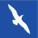 Cape Air