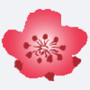 China Airlines
